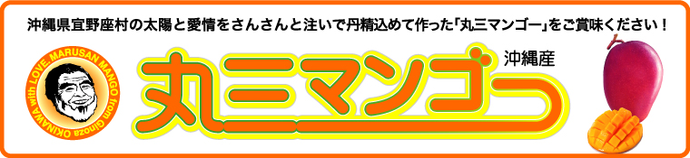 丸三マンゴー